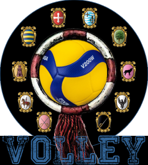 IcoVolley.png